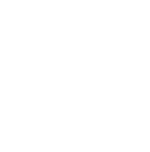 INDUSTRY, INNOVATION AND INFRASTRUCTURE Logo